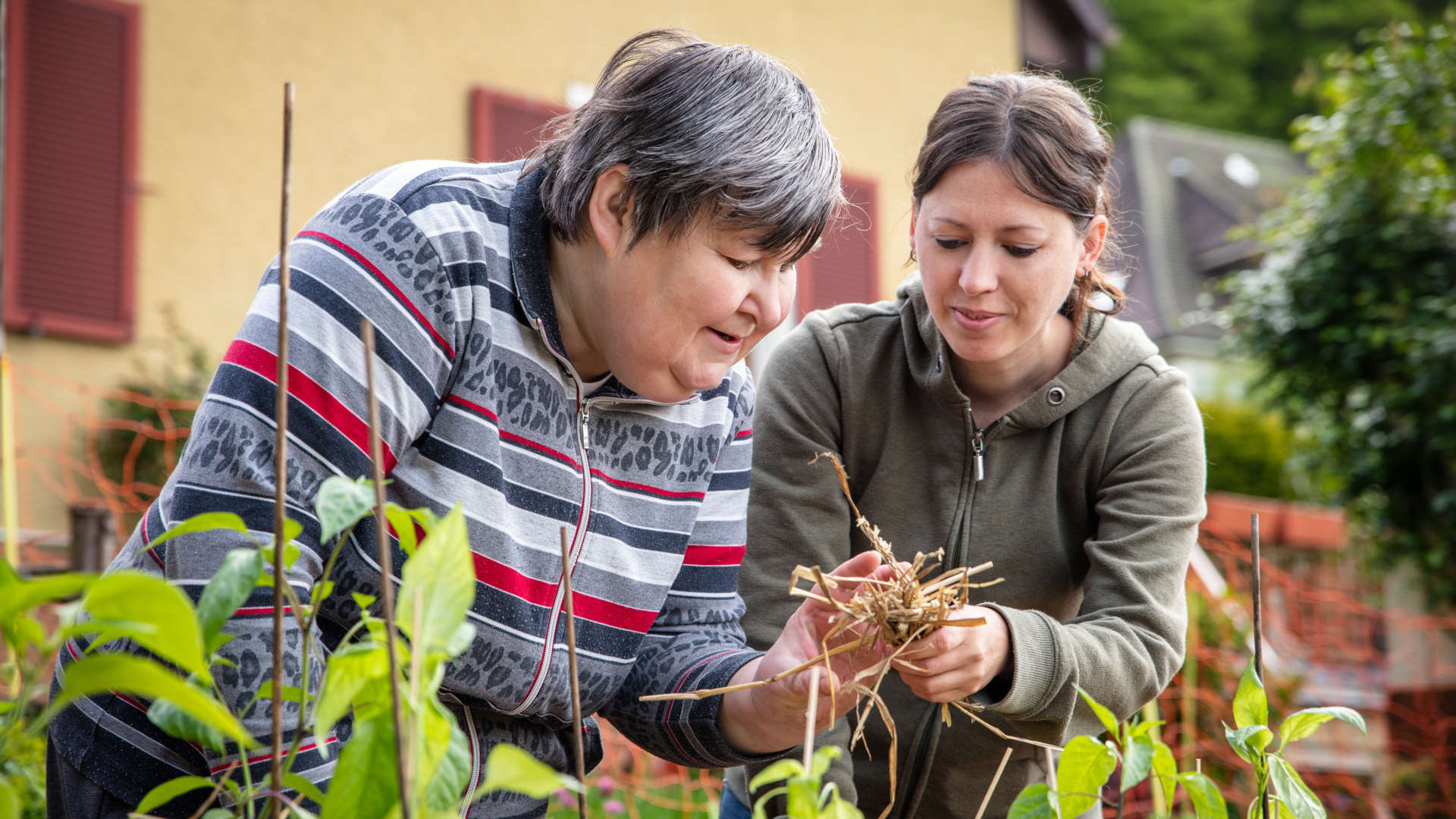 Zwei Frauen beschäftigen sich gemeinsam mit Pflanzen in einem Garten.